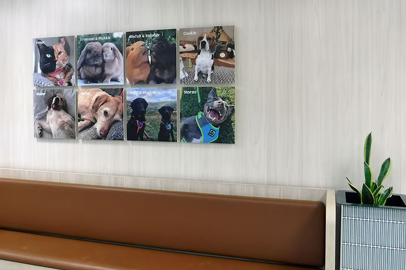 Pets-at-home-Altrincham-5